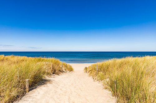 Path to the beach in the Baltic seaside resort of Dierhagen on the Baltic Sea by Werner Dieterich