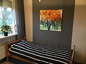Customer photo: Tree Magic 143 by MoArt (Maurice Heuts)