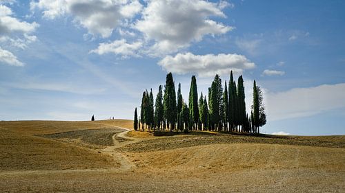tuscany