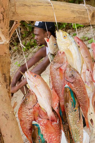 Fishmonger with the catch of the day