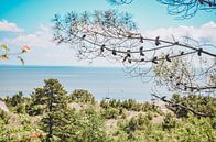 Vue de Vlieland et de la mer des Wadden par Daphne Groeneveld Aperçu