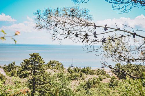 Uitzicht op Vlieland en de Waddenzee