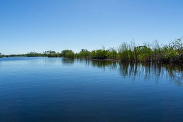 Verenigde Staten, Florida, Spiegelend water van rivier in everglades moerasland van adventure-photos