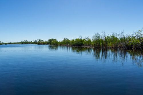 Verenigde Staten, Florida, Spiegelend water van rivier in everglades moerasland