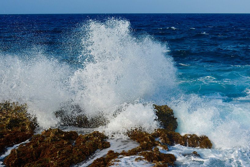 Spectacular waves by Ron Steens