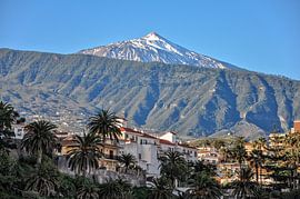 Puerto de la Cruz in front of the Teide by Katrin May