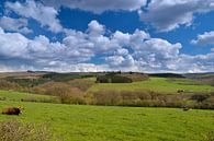 Vue avec les nuages par Ger Nielen Aperçu