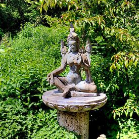 Buddha-Statue im Nepal Himalaya Pavillon Wiesent bei Regensburg von Roith Fotografie