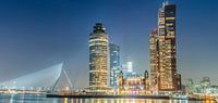 Skyline Rotterdam kop van zuid