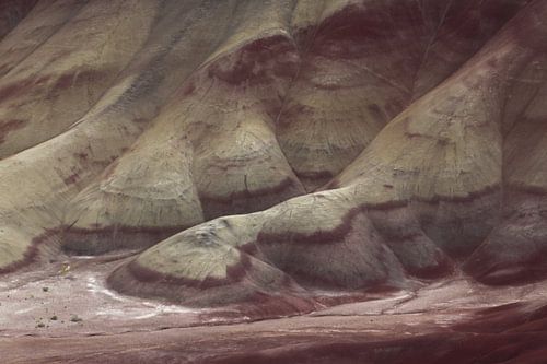 Beschilderde heuvels in het John Day Fossil Beds National Monument bij Mitchell City, Wheeler County
