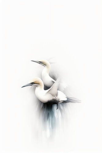 Elegance of the gannet