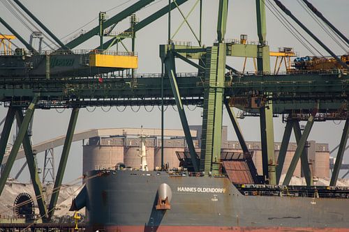 De boeg van een bulkcarrier afgemeerd  Maasvlakte