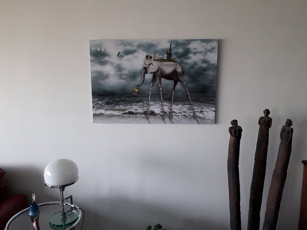 Beach walk around the world  by Carina Dumais 