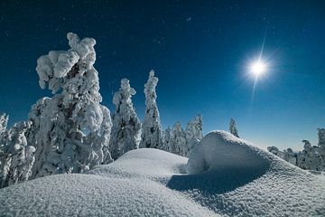 Sterrenhemel en winterlandschap in de nacht van Martijn Smeets