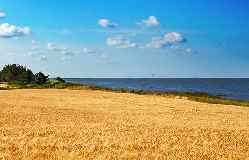 Waddenzee