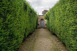 Die Tür von Dick Carlier