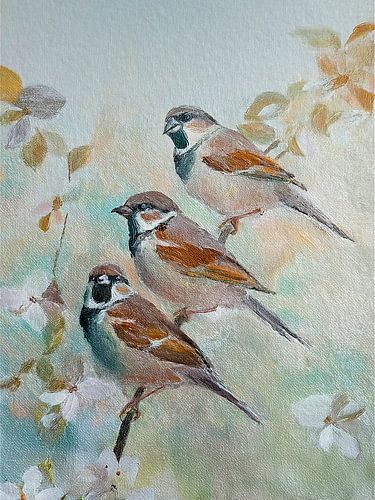 Rustiek en Landelijk. Drie huismusjes op appelbloesemtak