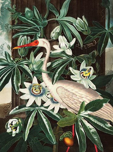 From the Temple of Flora