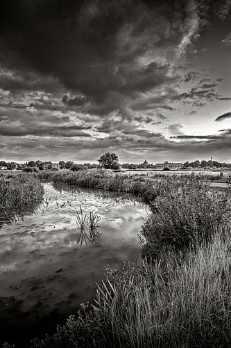 La nature au bord du gouffre