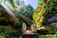 The sun's rays shine into nature