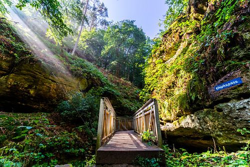 Die Sonnenstrahlen scheinen in die Natur von Jolien fotografeert