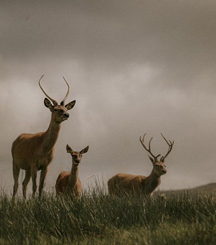 De Drie Wachters van de Hooglanden