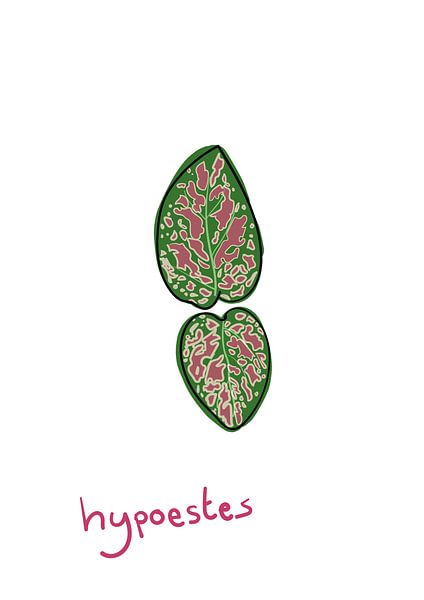 Feuilles Hypoestes - Série 'Flora' par Jeroen Visschers
