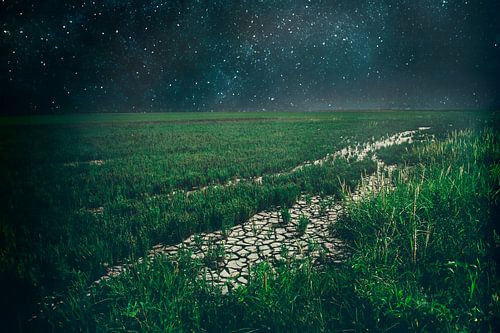 Zonsondergang in Ongerepte Natuur met Sterrenhemel - Landschapsfotografie voor Serene Interieurs