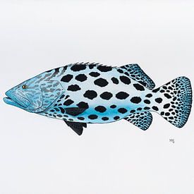 Fish series B by Martino Romijn