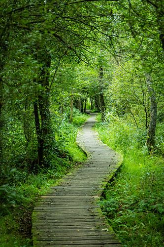 De Moerputten, hier wandel je midden in de natuur, omringd door vogelgezang, kabbelend water en weidse vergezichten.