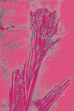 Moderne botanische kunst. Boho Tulp in heldere kleuren nr. 1 van Dina Dankers