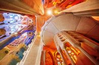 Interior of the Sagrada Familia in Barcelona by Chi thumbnail