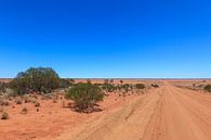 Een onverharde weg in de Australische Outback van Henk van den Brink thumbnail