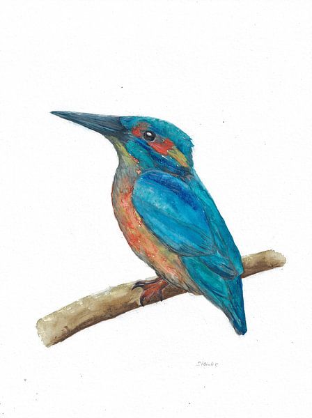 Martin-pêcheur par Sandra Steinke