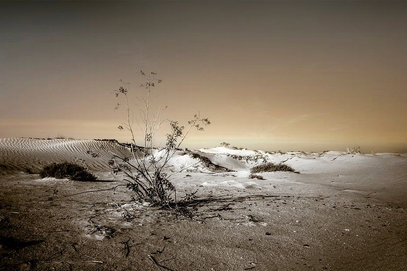 Subliem van Yvette Bauwens