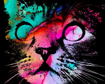 Cat Pop Art van Petra Nawrath