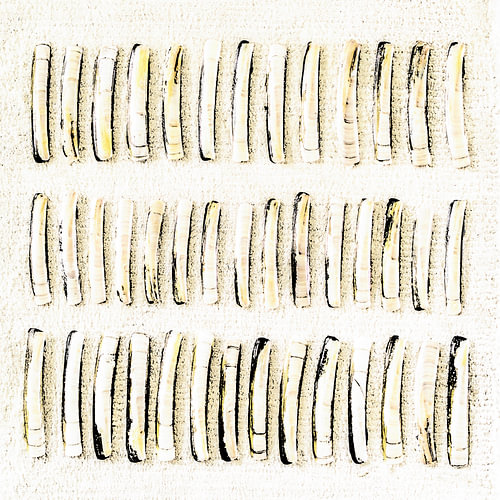 Muscheln in einer Reihe mit grafischem Design. von Alie Ekkelenkamp