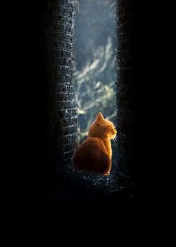 Snorharen en verwondering: Een kattenportret van Grease New