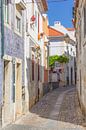 Portugiesische Straße zum Bummeln von Michèle Huge Miniaturansicht