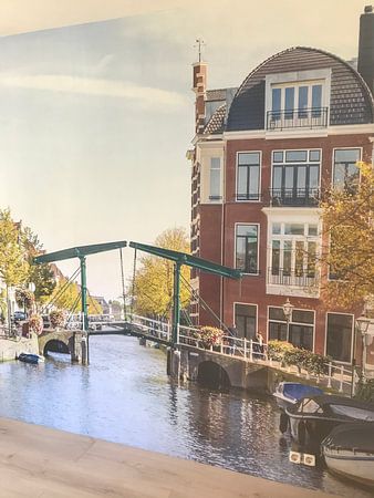 In the city of Leiden