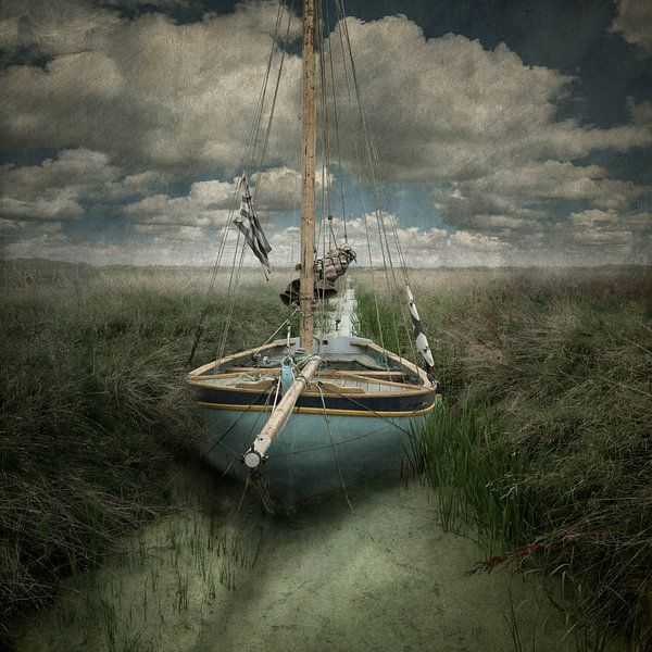 The ditch by Gerben van Buiten