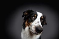 Well, hello there.... van Carine Belzon thumbnail