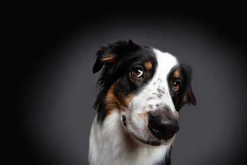 Well, hello there....