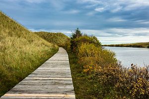 Landschaft mit See auf der Insel Amrum von Rico Ködder