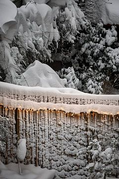 Winterwonderland met lichtjes van qtx