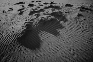 lumière du matin sur une dune de sable