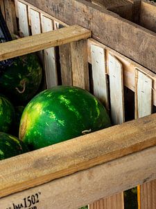 Wassermelone in einer Kiste von Tatiana Tor Photography