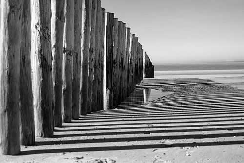 Palen op het strand