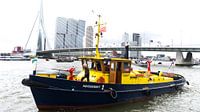 Die Erasmusbrücke in Rotterdam mit einem Boot der Hafenbehörde von Tom van Vark Photography Miniaturansicht
