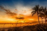 BONITA BEACH Coucher de soleil fantastique par Melanie Viola Aperçu